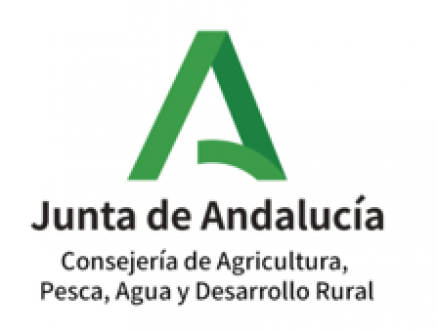Logo Junta andalucia